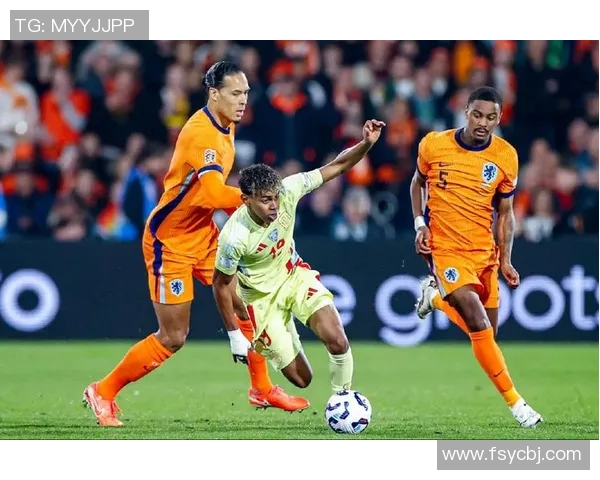 荷兰队与白俄罗斯队欧预选赛精彩对决回顾与分析 荷兰队与白俄罗斯队欧预选赛精彩对决回顾与分析