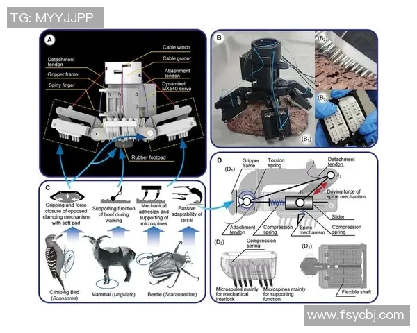 深圳攀岩队战术探讨:聚焦攀岩运动的技巧与策略分析 深圳攀岩队战术探讨:聚焦攀岩运动的技巧与策略分析